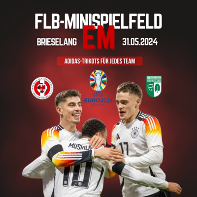 FLB-Minispielfeld-EM 2024: Ein Mini-Vorgeschmack auf die Europameisterschaft