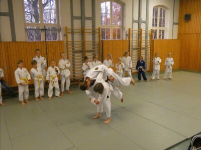 Judo-Lehrgang 2018 (Bild vergrößern)