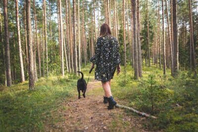 Foto zu Meldung: Leinenpflicht für Hunde in Wald und Feld: Brut- und Setzzeit hat begonnen