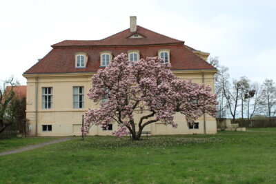 Blütenpracht am Schloss Reckahn (Bild vergrößern)