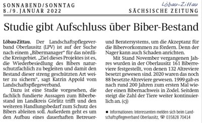 Artikel (Bild vergrößern)