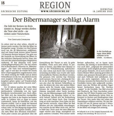 Artikel (Bild vergrößern)