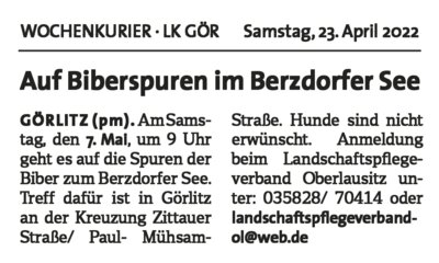 Meldung: Auf Biberspuren im Berzdorfer See