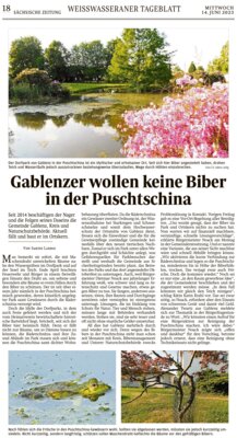 Meldung: Gablenzer wollen keine Biber in der Puschtschina