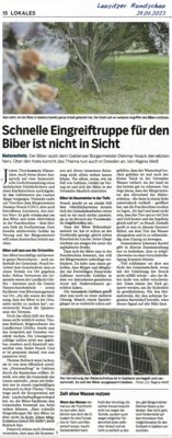 Meldung: Schnelle Eingreiftruppe für den Biber ist nicht in Sicht