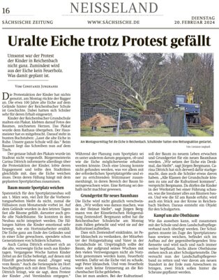 Artikel (Bild vergrößern)