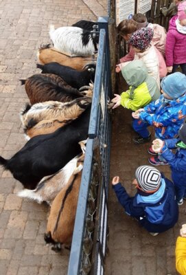 Foto zur Meldung: Besuch in der Zooschule Landau