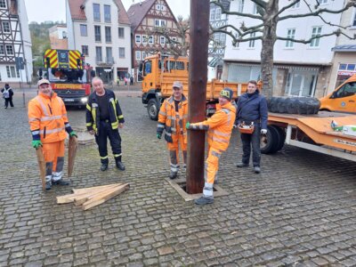 Gemeinsam richten die Bauhofmitarbeiter, die Feuerwehr und ein Mitarbeiter der Firma Lehmann den Maibaum aus (Bild vergrößern)