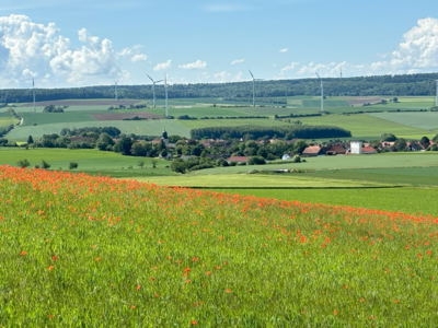 Blick auf Naensen (Bild vergrößern)