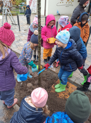 Baumpflanzaktion der Klassen 1a und 1b an ihrer ehemaligen Kita (Bild vergrößern)