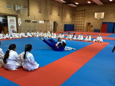 Meldung: Hilfsbereitschaft und Höflichkeit, Werte des Judo-Projektes