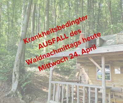 Foto zur Meldung: AUSFALL Waldnachmittag Kirchdaun