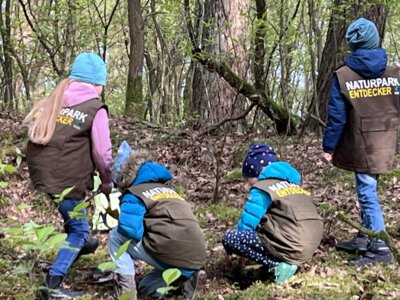 © Landkreis Harburg - Bericht Naturparkschule Garstedt – Waldtage mit der Klassenstufe 2