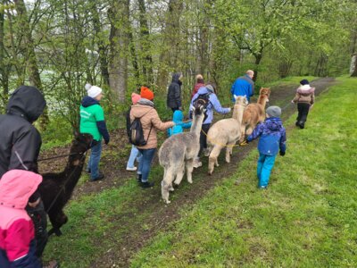Meldung: Tierische Frühlingswanderung durch den Schlosspark