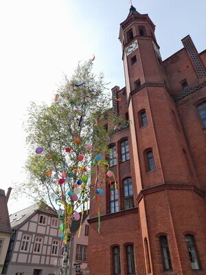 Foto: Rolandstadt Perleberg | Ein Maibaum wird am Dienstag wieder vor dem Rathaus aufgestellt.