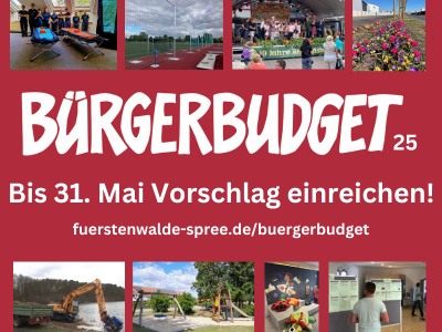 Bürgerbudget 2025 - Bis 31. Mai Vorschläge einreichen