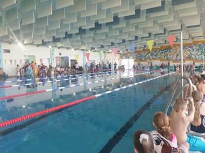 Schwimmwettbewerb der Kinder- und Jugendsportspiele des Landkreises OSL 2024 mit 120 Teilnehmenden in Lübbenau