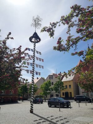 Auch in diesem Jahr zieren die Zunftzeichen den Calauer Maibaum. Foto: Stadt Calau (Bild vergrößern)