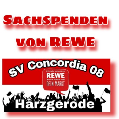Rewe Markt Harzgerode - Sachspenden für Concordia Nachwuchs