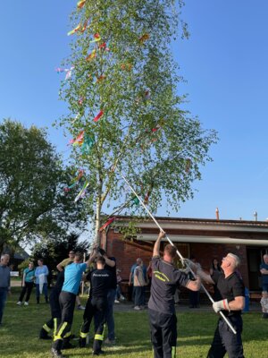 Die Feuerwehr Göhlen errichtet wie jedes Jahr den von Kindern und Jugendlichen geschmückten Maibaum auf dem Festplatz in Göhlen.