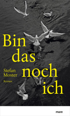 Stefan Moster - Bin das noch ich