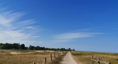 Neujahreswünsche (Bild vergrößern)