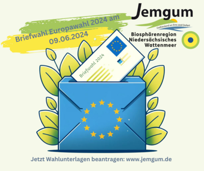 Briefwahl Europawahl 2024 am 09.06.2024 (Bild vergrößern)