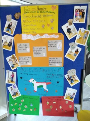 Hunde AG