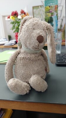 Kuschelhase gefunden (Bild vergrößern)