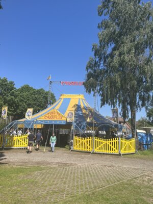 Zirkus Casselly ist endlich da (Bild vergrößern)