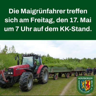 Maigrün für den Festumzug (Bild vergrößern)