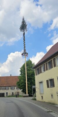 Maibaum der Gemeinde Obergröningen (Bild vergrößern)