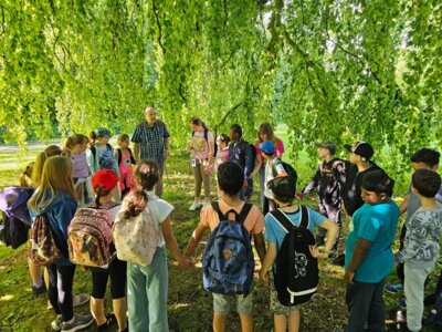 Der Ausflug in die Waldschule