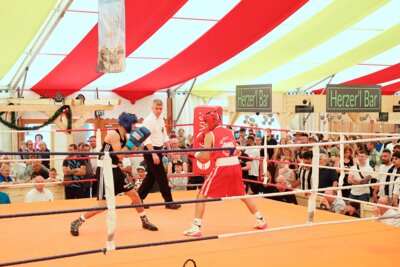 Boxkampf im Volksfest am Donnerstag, 30.05.2024