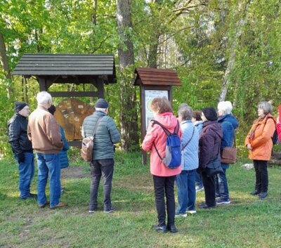 Wandergruppe an der Baumscheibe des Naturlehrpfades