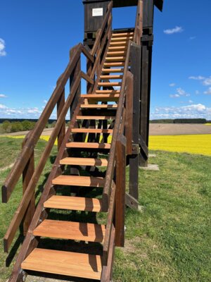 Foto zur Meldung: Neuer Aufstieg am Mühlenberg