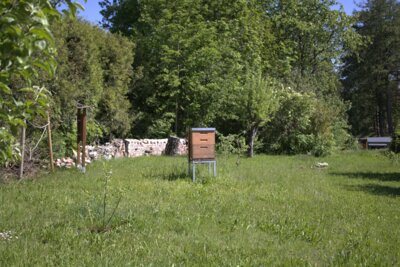 Bienenschaugarten - Kinder- und Schulzentrum (Bild vergrößern)