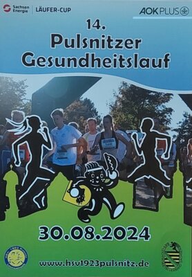14. Pulsnitzer Gesundheitslauf