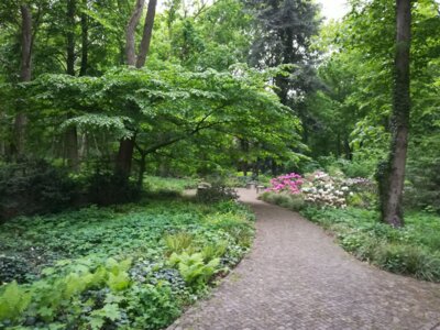 Foto zur Meldung: Weinberggelände 05.06. - 07.06.2024 geschlossen