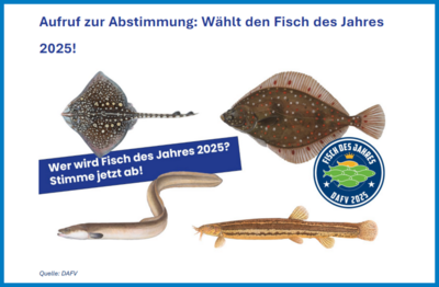 Quelle: DAFV