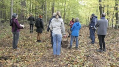 Pilzwanderung (Bild vergrößern)