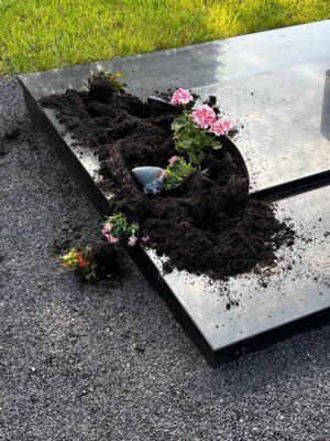 Meldung: Tierischer Besuch auf dem Friedhof