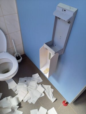 Vandalismus in der Schule - zur Toilette geht es demnächst an den Waldrand (Bild vergrößern)