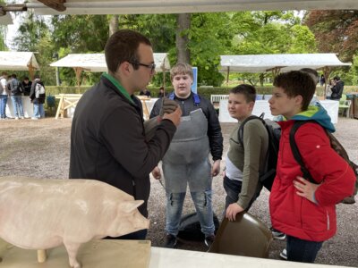 JobGarten in Lahr Kl. 7/ 8/ 9