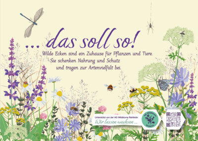 Foto zur Meldung: Wildblumen in Aktion