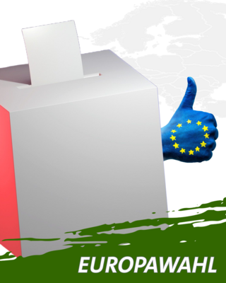 Europawahl 2024 (Bild vergrößern)