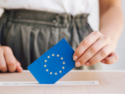 Europawahl Wahlergebnisse (Bild vergrößern)