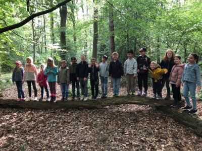 Waldausflug Klasse 1b
