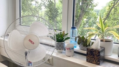 Meldung: Der Sommer kommt