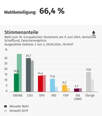 Wahlergebnis Europawahl 2024 aus Schafflund